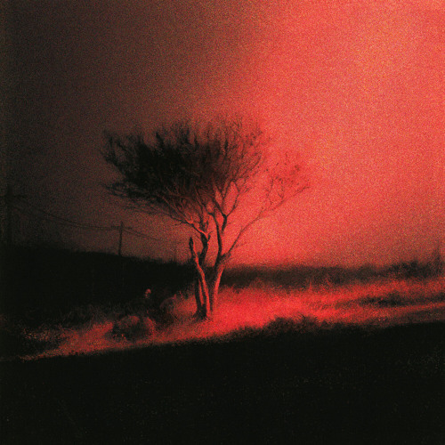 Rose Colored cover